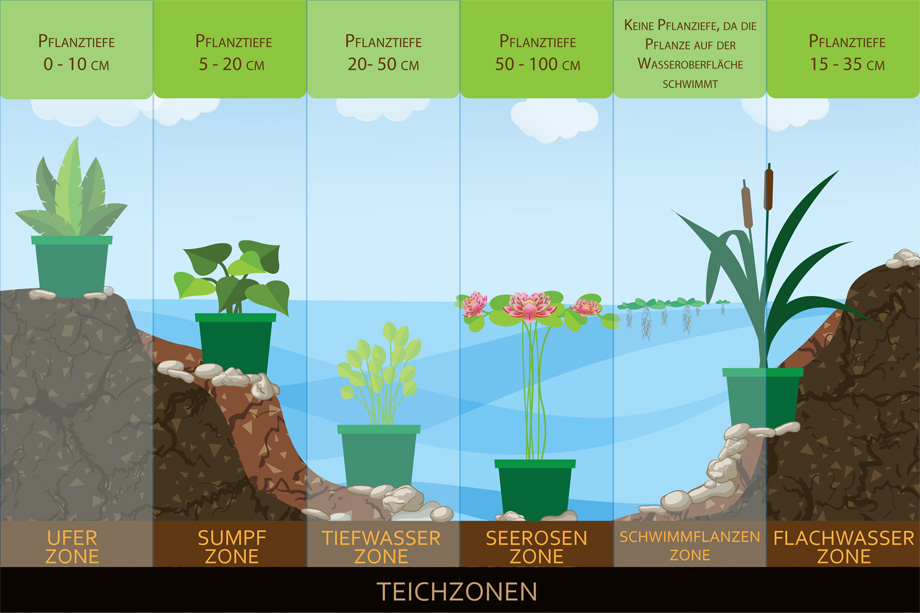 teichzonen