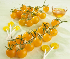 Gelbe Nektar-Cherrytomate Solena® Sweet Yellow veredelt  im 12 cm Topf