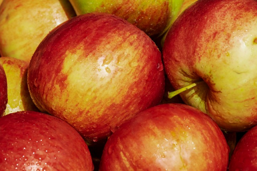 Apfelbaum Herbstapfel 'Gala Malus 