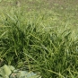morepic-1