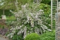 morepic-1