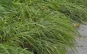 morepic-1