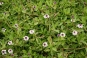 morepic-1