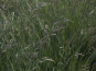 morepic-2