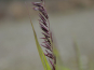 morepic-2