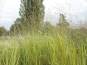morepic-2