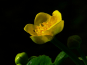 morepic-2