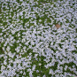 morepic-2