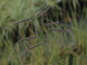 morepic-3