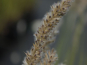 morepic-3