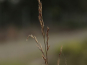morepic-3