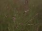 morepic-3