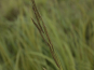 morepic-3