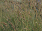 morepic-4