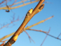 morepic-4