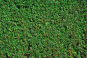 morepic-6