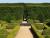 Buxus sempervirens - Heckenpflanze Container 20 - 30 cm