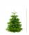Weihnachtsbaum Nordmann  Premium Qualität - frisch geschlagen 125 - 150  cm