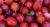 Stämmchen Stachelbeere 'Hinnonmäki rot' - Ribes uva-crispa