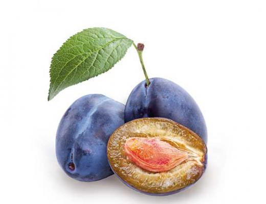 Zwetsche 'Hauszwetsche' Prunus