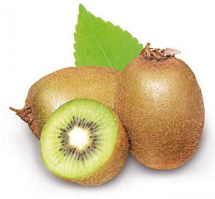 Kiwi - Actinidia deliciosa 'Jenny'