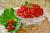 Rote Johannisbeere Jonkheer van Tets Ribes rubrum