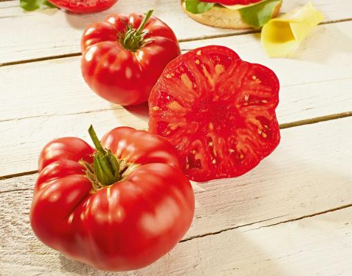 Steak-Tomate 'Buffalosteak veredelt' im 12 cm Topf