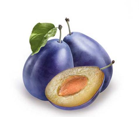 Pflaume 'President' Prunus