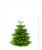 Weihnachtsbaum Nordmann Premium Qualität - frisch geschlagen 100 - 125  cm