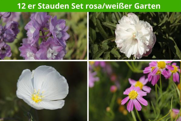 12 er Stauden Set rosa/weißer Garten