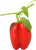 Rote Paprika im 9 cm Topf