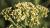 Schafgarbe Achillea - millefolium 'Hoffnung'