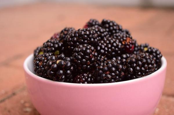 Brombeere 'Triple Crown'  Rubus fruticosus