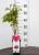 Himbeere Heritage Rubus idaeus
