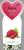 Himbeere Heritage Rubus idaeus