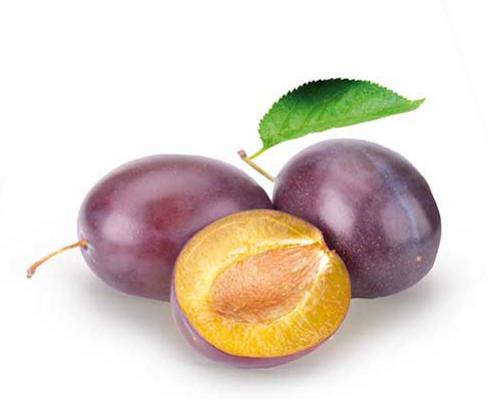 Pflaume 'The Czar' Prunus