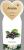Apfelbeere Viking Aronia melanocarpa