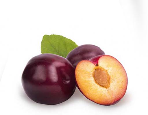 Pflaume 'Jubileum' Prunus