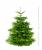 Weihnachtsbaum Nordmann Premium Qualität - frisch geschlagen 150 - 160  cm