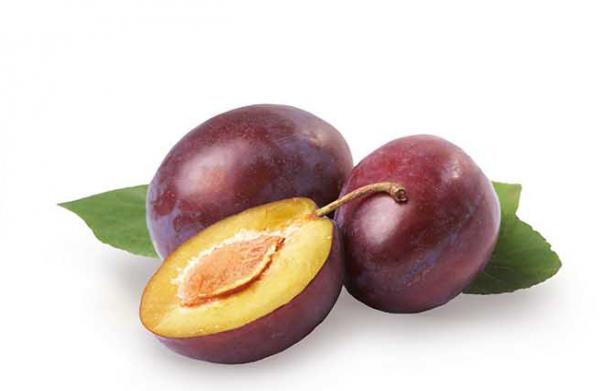 Pflaume 'Opal' Prunus